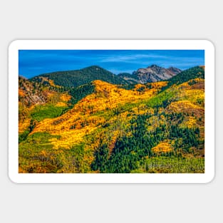 Aspen Golden Quilt Sticker